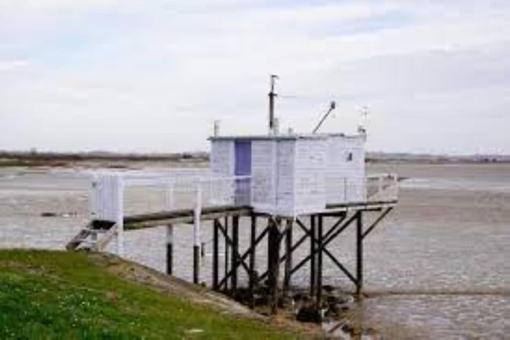 Maison Au Coeur Des Vignes Cussac-Fort-Medoc Eksteriør billede
